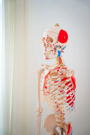 Elephys-physiotherapie-Schnelle-Bewerbung-05